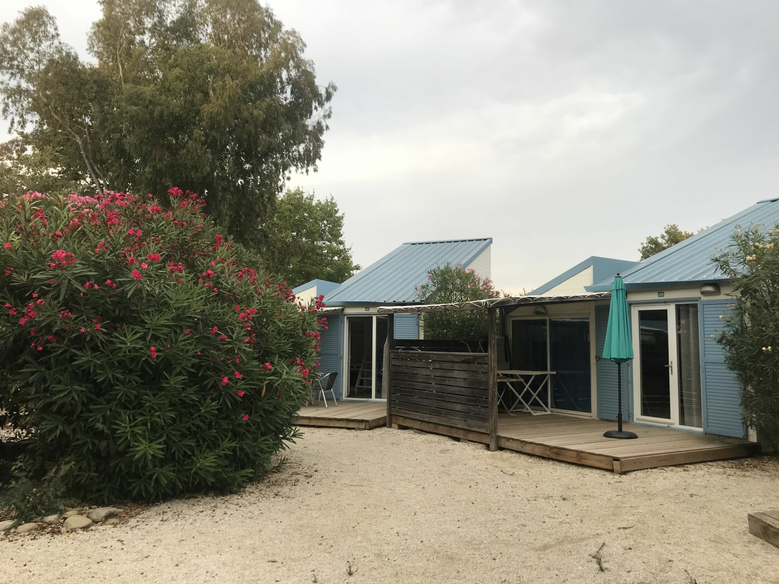 34AE00CD-CED2-44DA-9B71-4ADF7988E34B