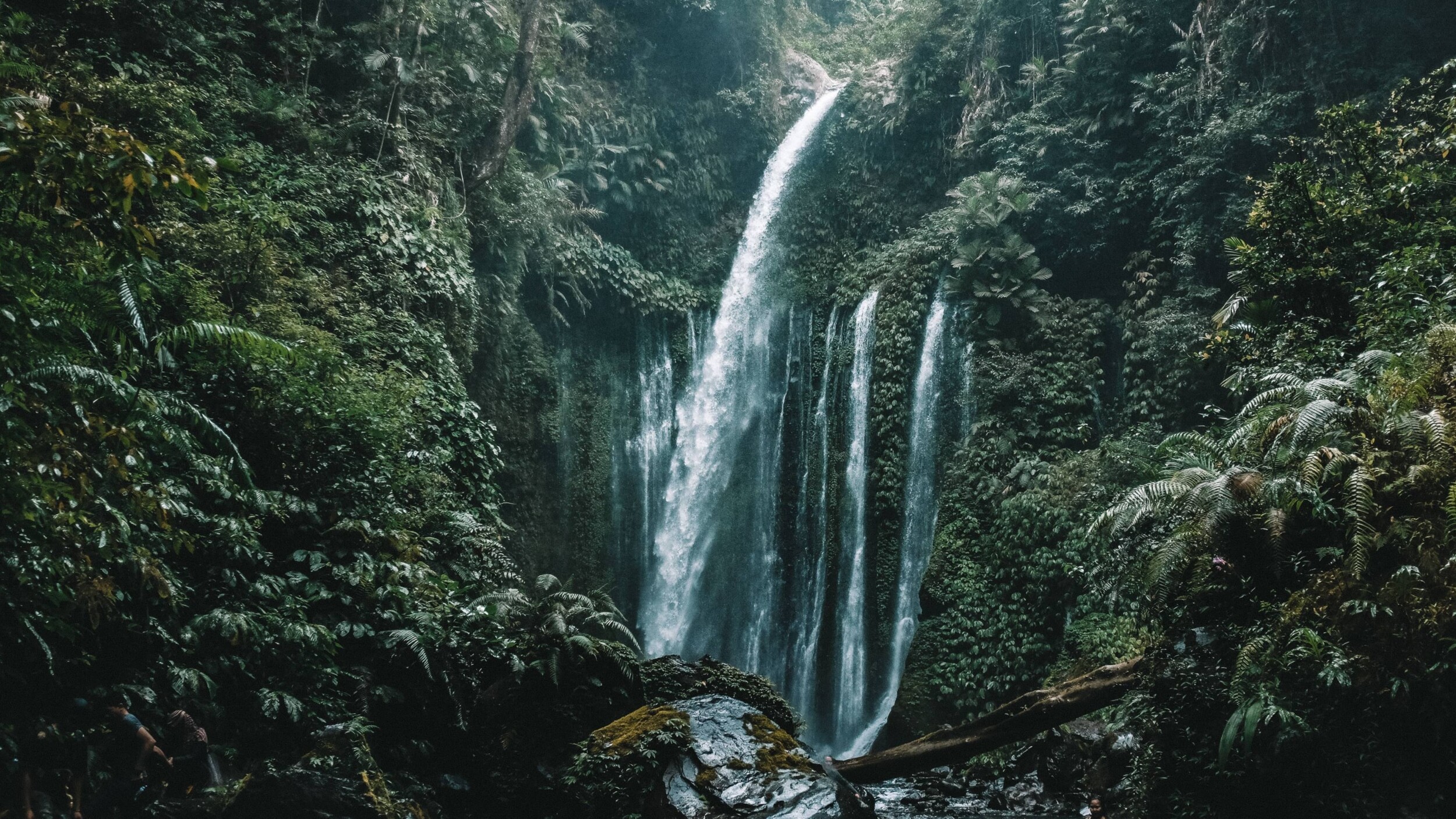 Bali_Wasserfälle_benjamin-janos-ym99Ig7ILRA-unsplash