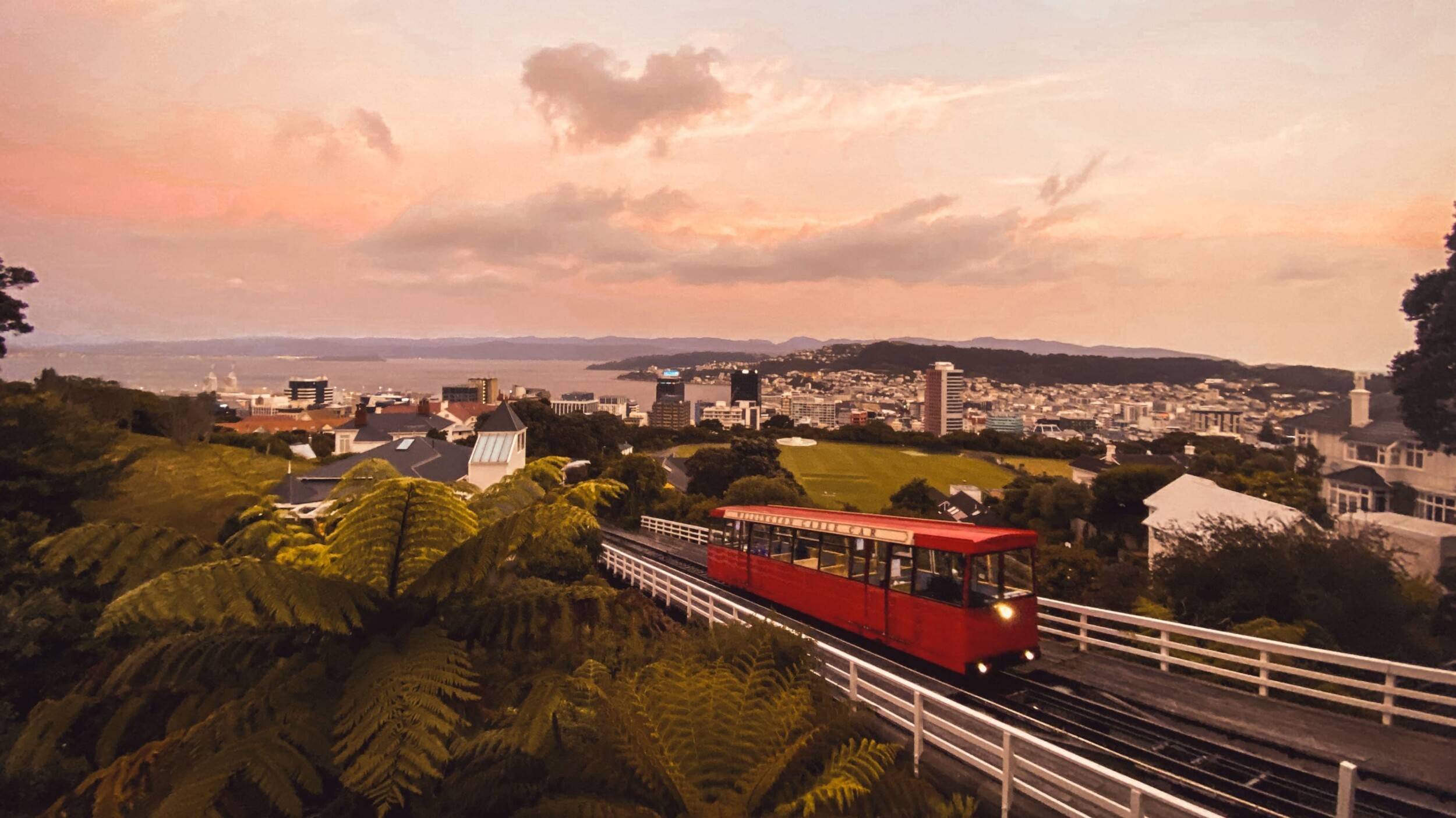 Neuseeland_Wellington_guillaume-lebelt-ge9Etns4LJA-unsplash