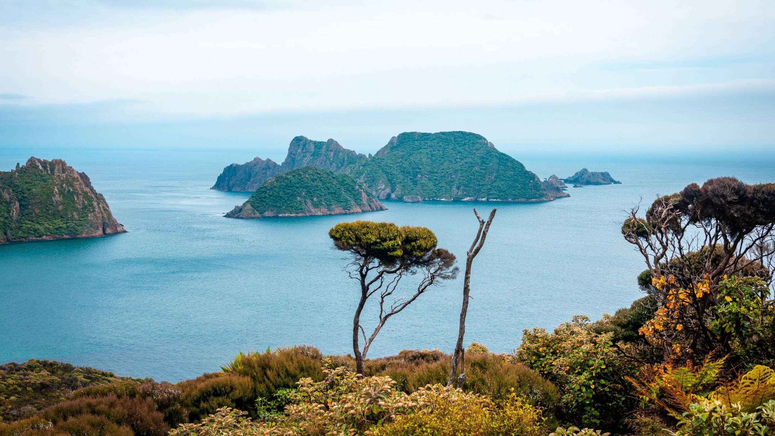 Neuseeland_StewartIsland_sebastien-goldberg-NmNye-Ky190-unsplash