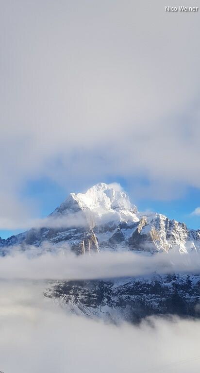 5k6yd2a25_rectangle-768x768-0x0-0x0