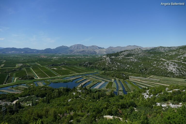 1x66msyx_rectangle-768x768-0x0-0x0