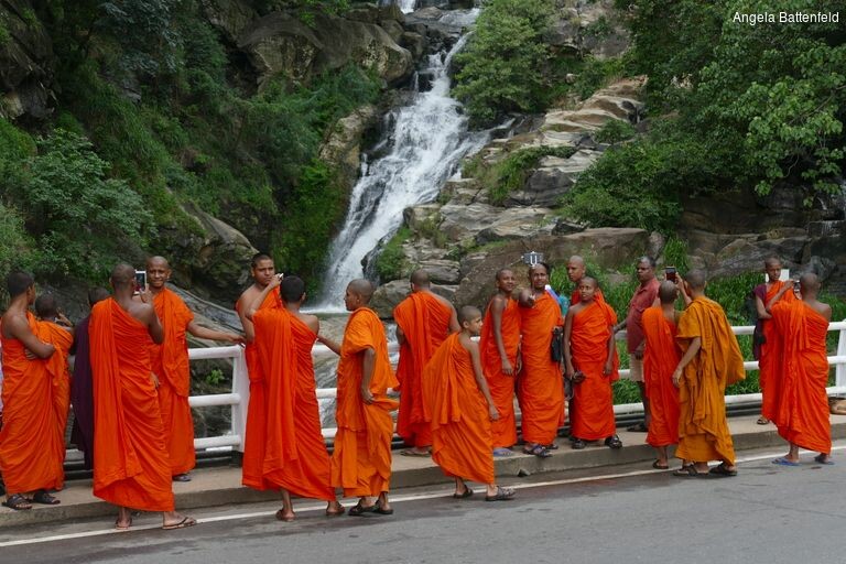 5a52wn0oc_rectangle-768x768-0x0-0x0