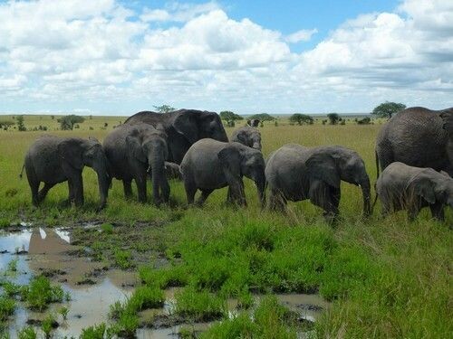 tansania_zanzibar_2013_304