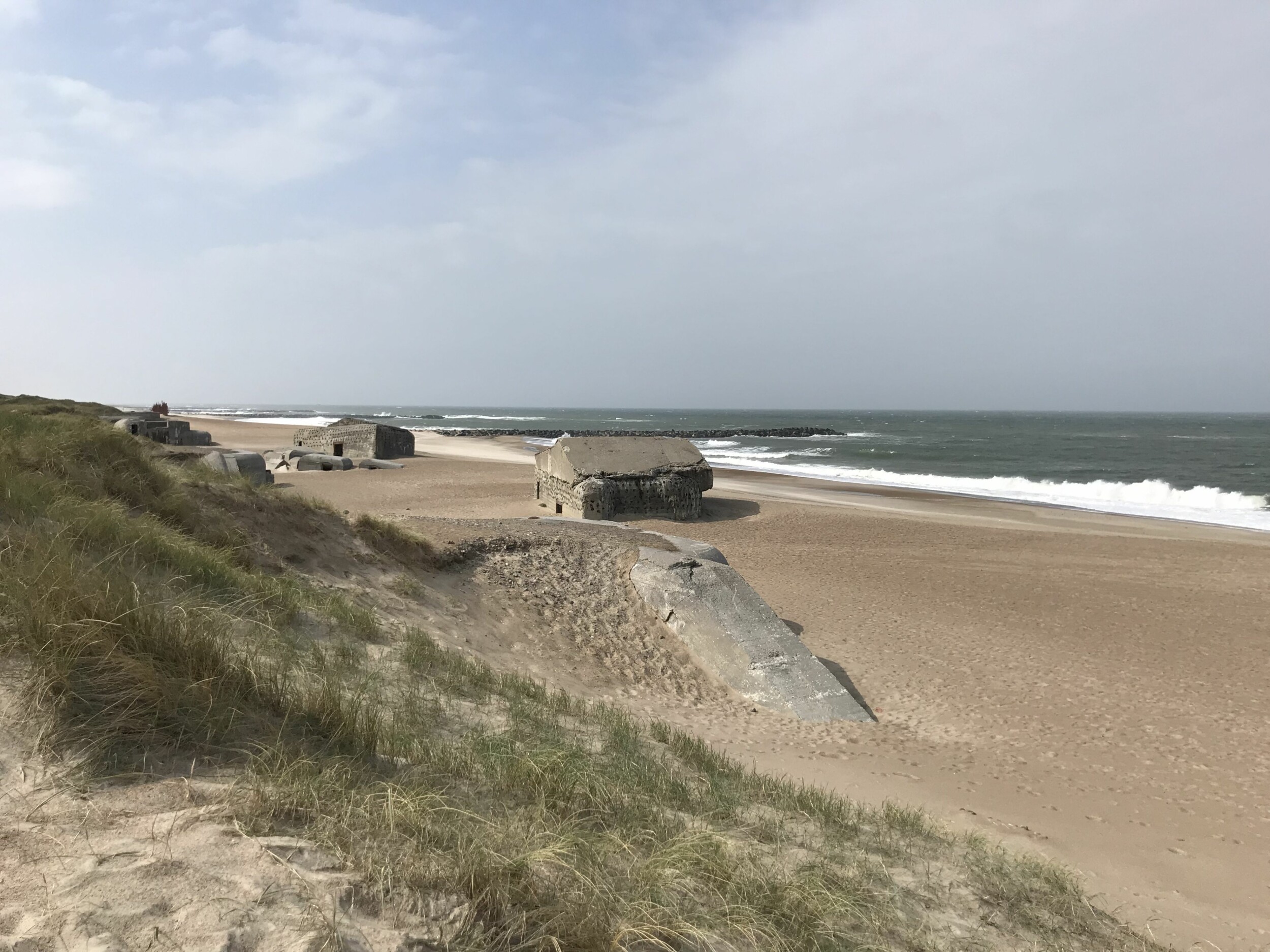 A422684C-30A2-4B9A-9815-279DC5EC7021