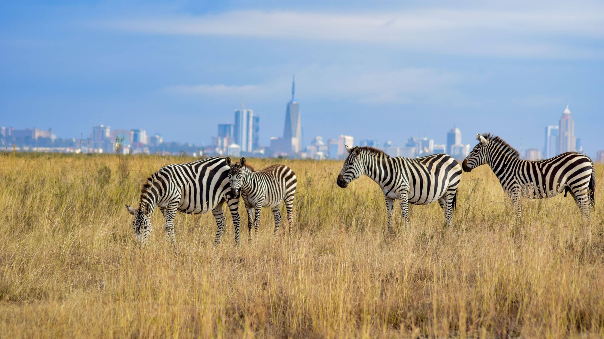 Kenia_NairobiNP_grace-nandy-FzkGHmvvsto-unsplash