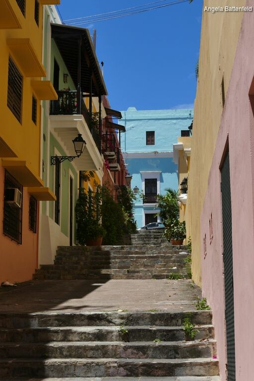 starflyer2015034_rectangle-768x768-0x0-0x0