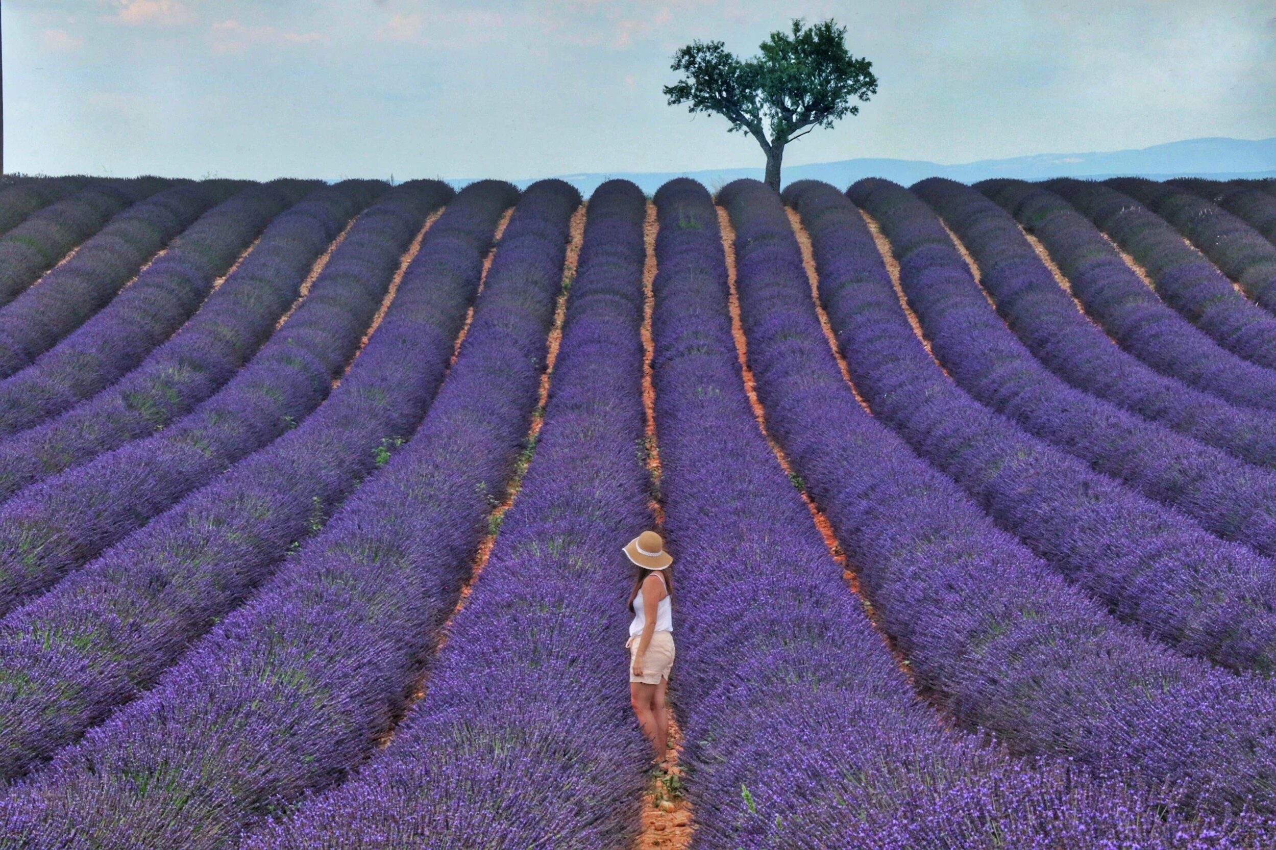 Provence_baraa-jalahej-uEwedZxMI-I-unsplash