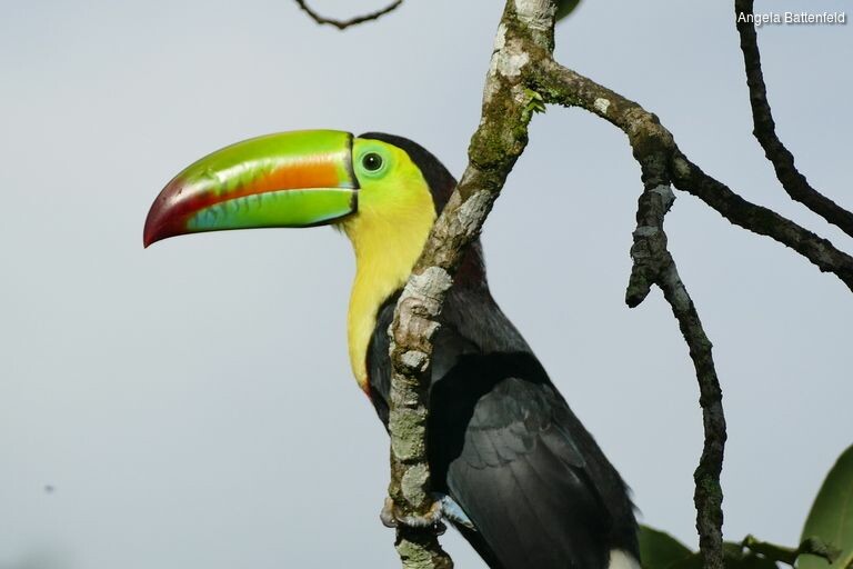 5khb1spg5_rectangle-768x768-0x0-0x0