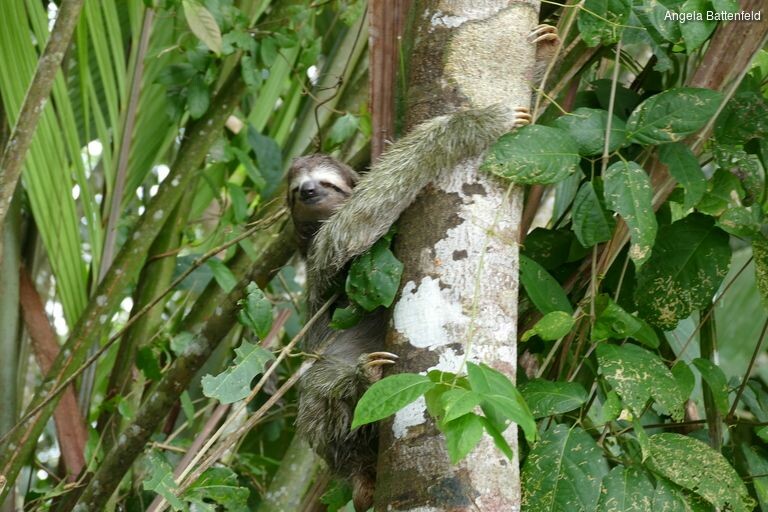 5khb0nkx4_rectangle-768x768-0x0-0x0