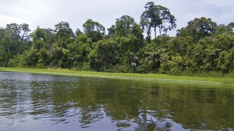 Tortuguero_giata_