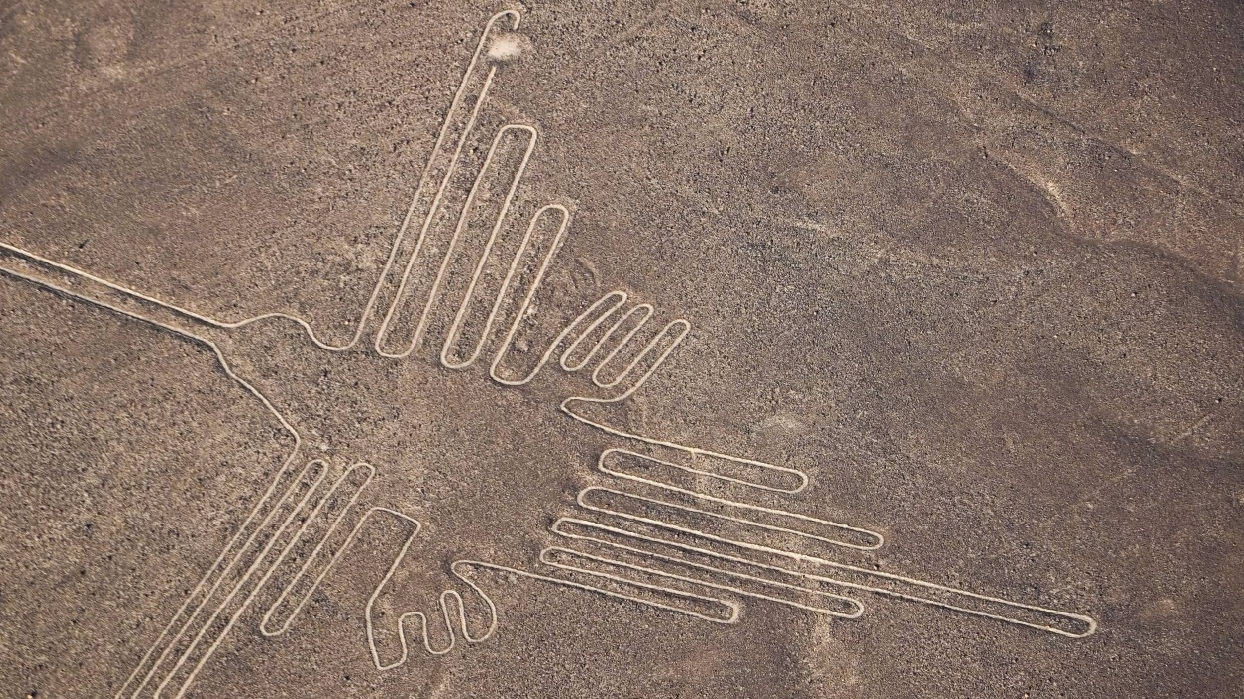 Nazca_seiji-seiji-sSQ2Ojkm88k-unsplash_1