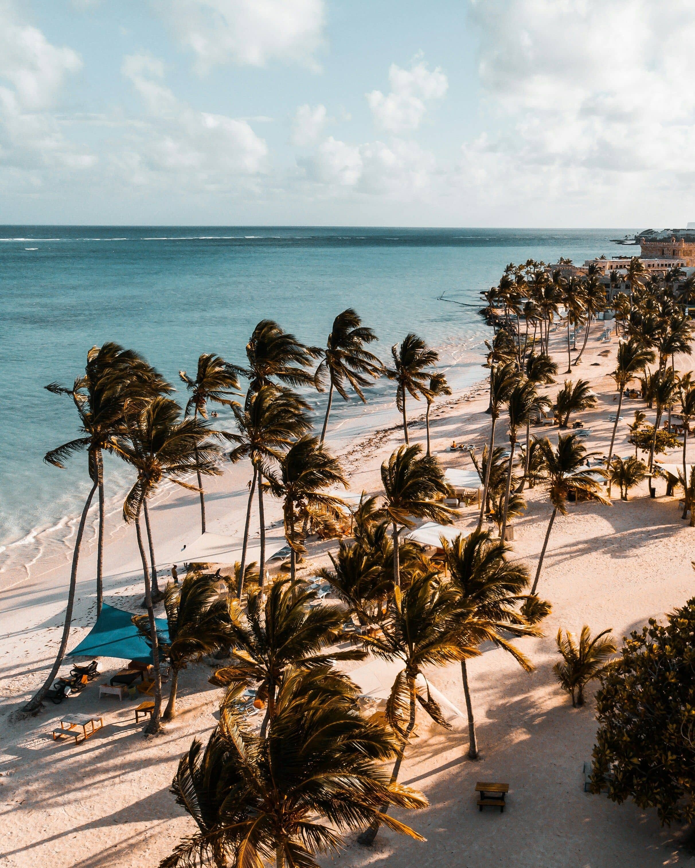 DomRep_benjamin-voros-YfUR4QpiXuQ-unsplash