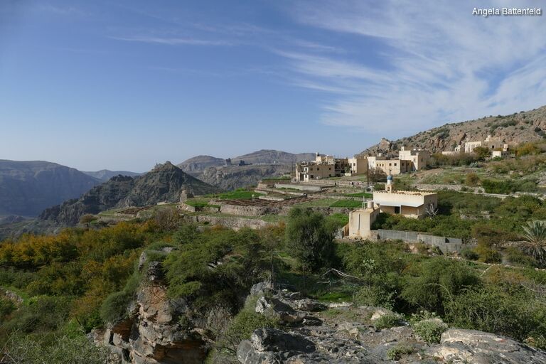 5hrafulpq_rectangle-768x768-0x0-0x0