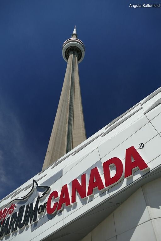 57922b0yn_rectangle-768x768-0x0-0x0