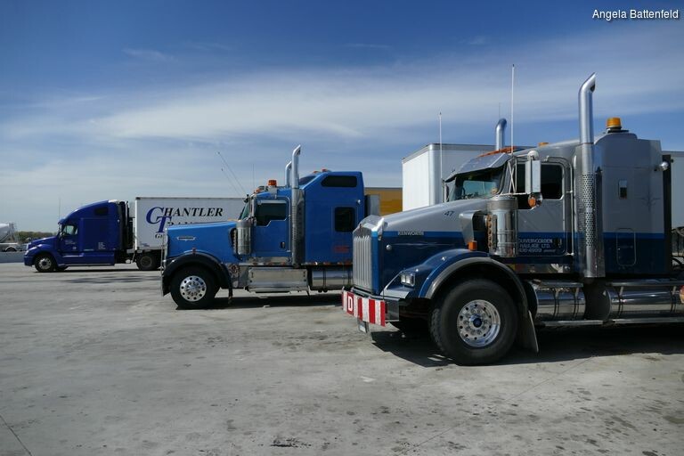 579228npw_rectangle-768x768-0x0-0x0