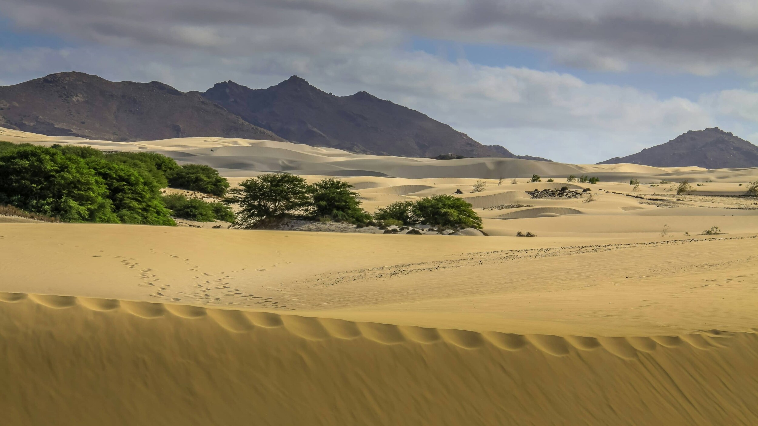 BoaVista_nick-fewings-hbYYS7-72os-unsplash