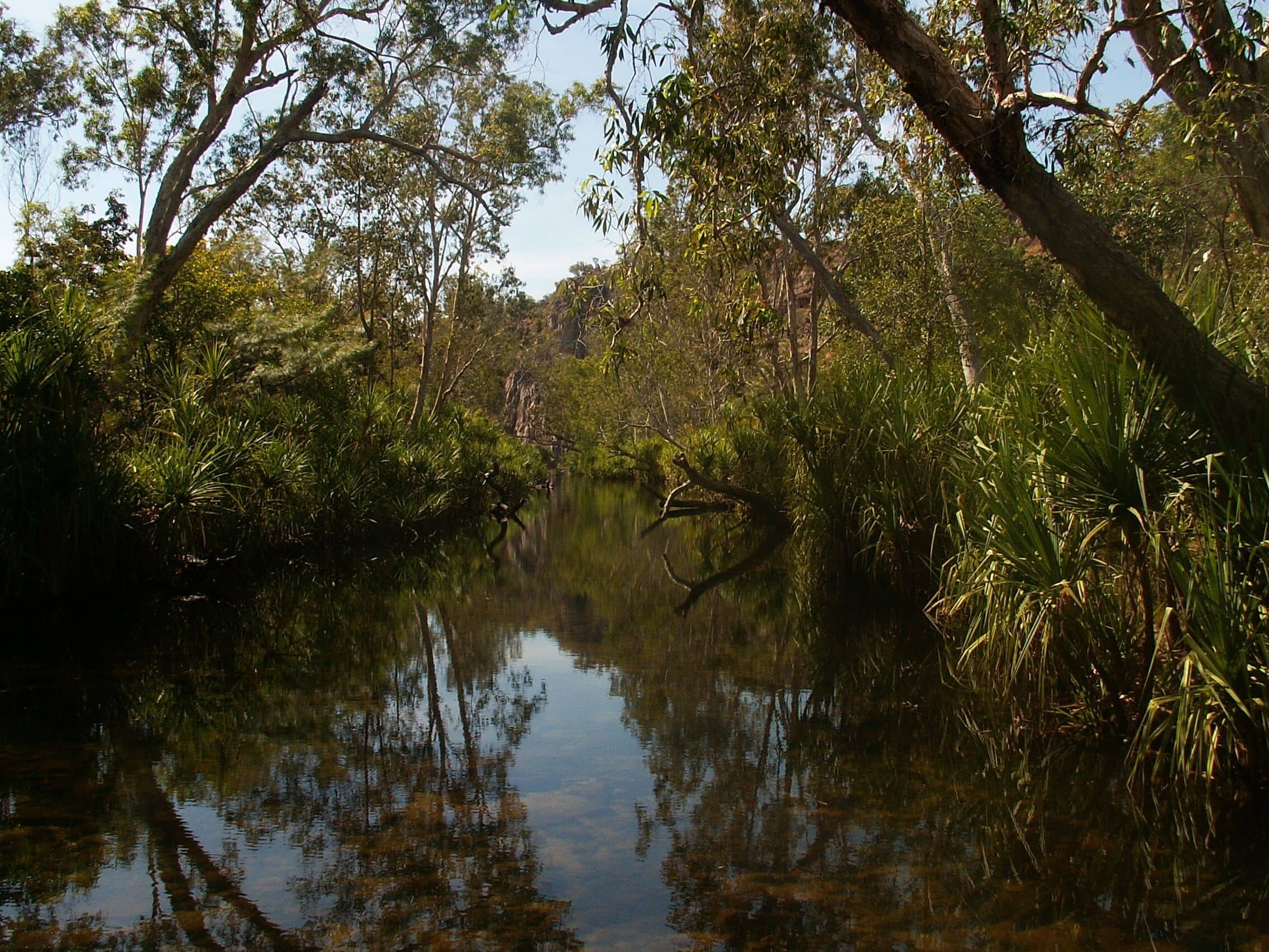 Australien_Edith_Falls_II_Maier_prviat_1