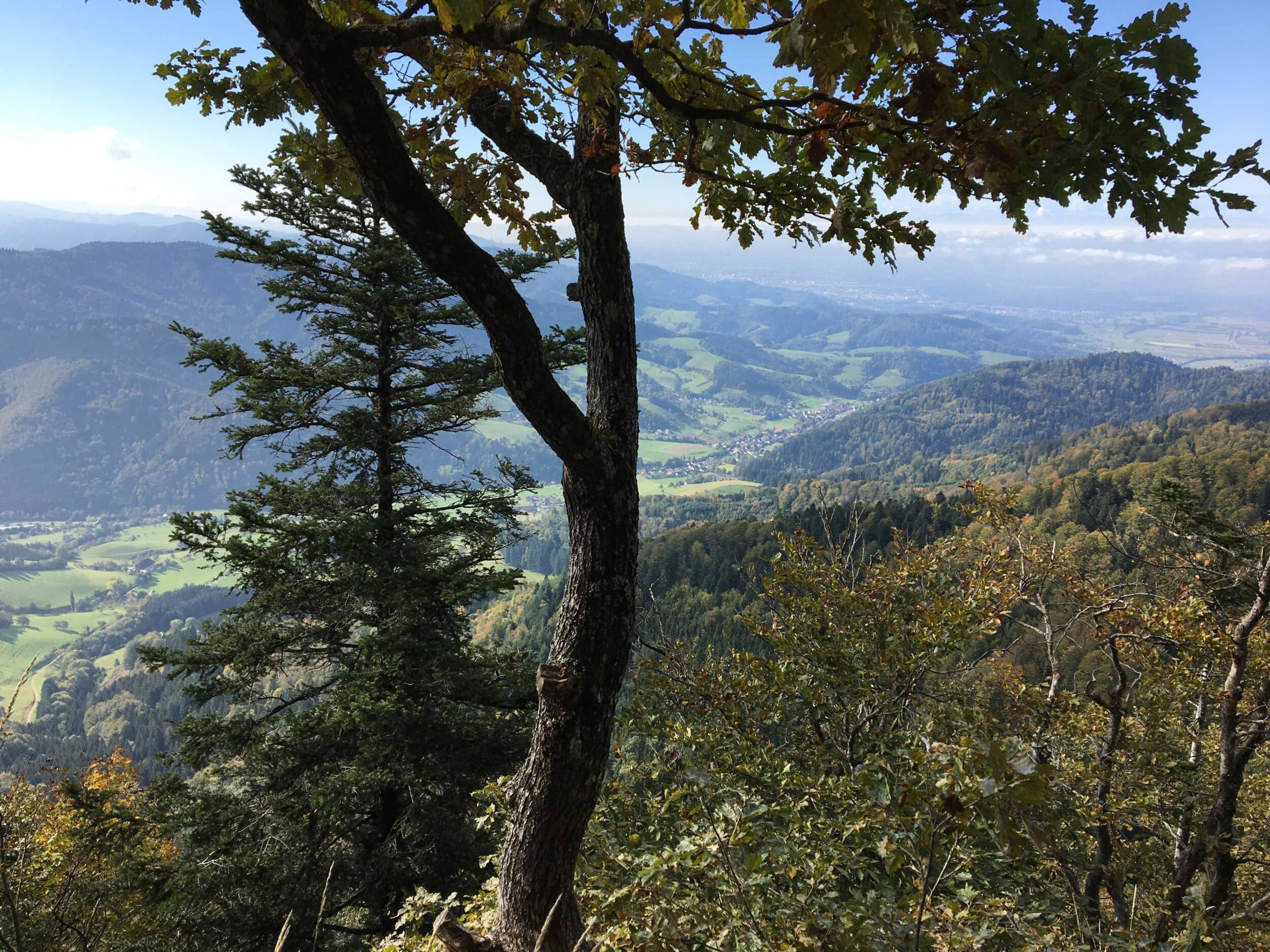 Deutschland_Schwarzwald-Privatbild_Frey_1