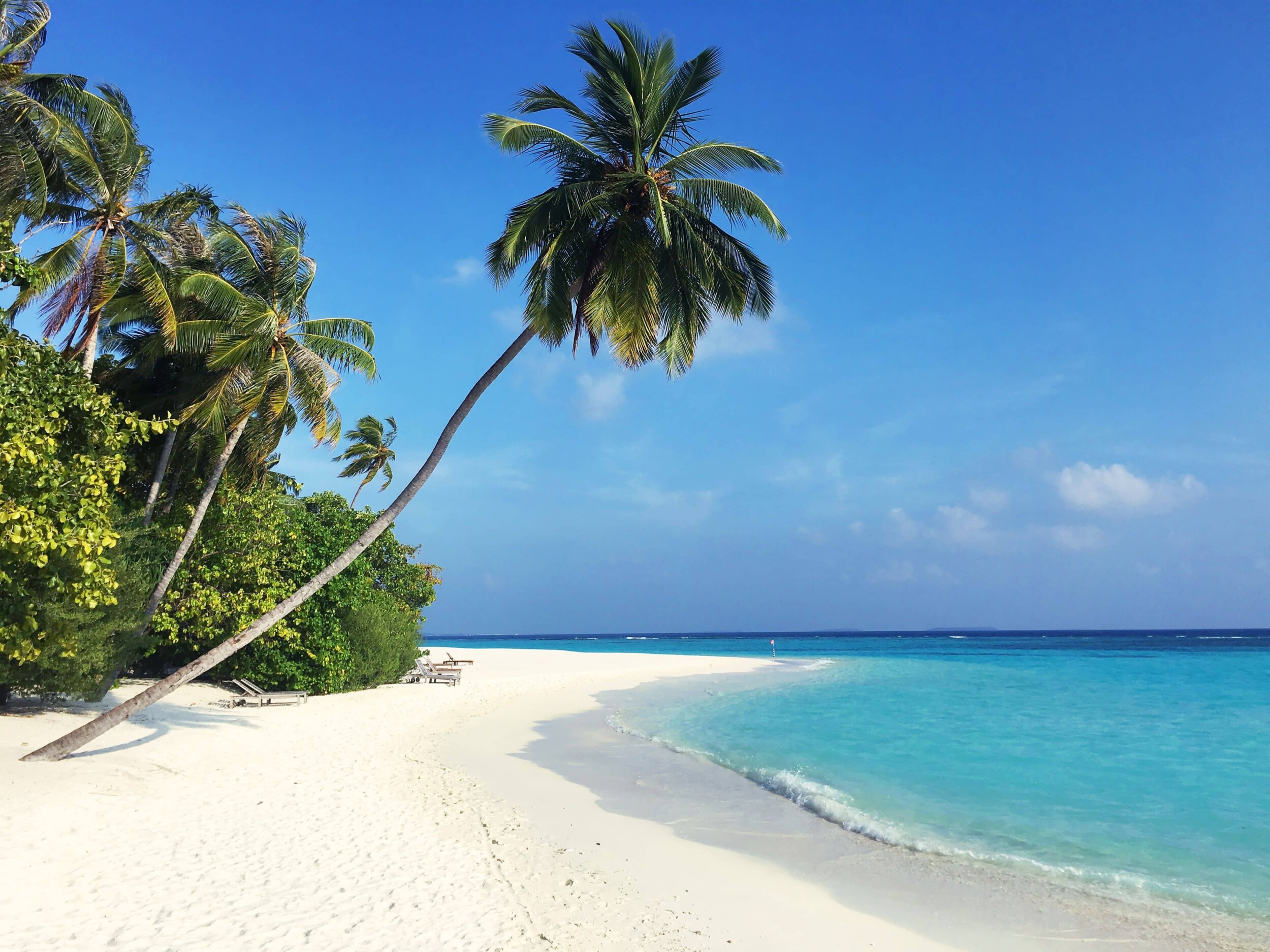 Mauritius_dorsa-masghati-5fPA8j4pcTY-unsplash_1