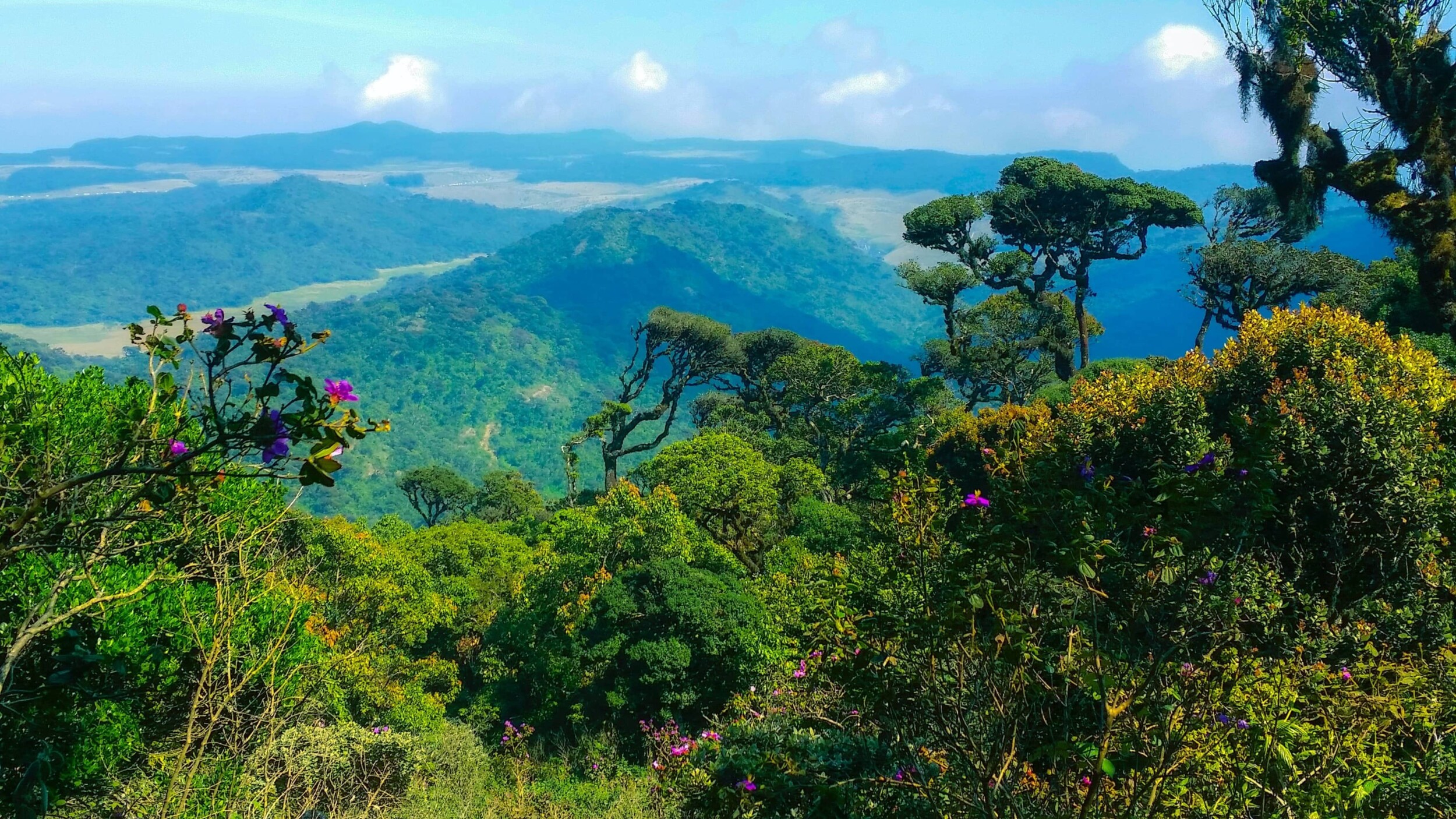 Sri_Lanka_Nuwara_Eliya_unsplash_4