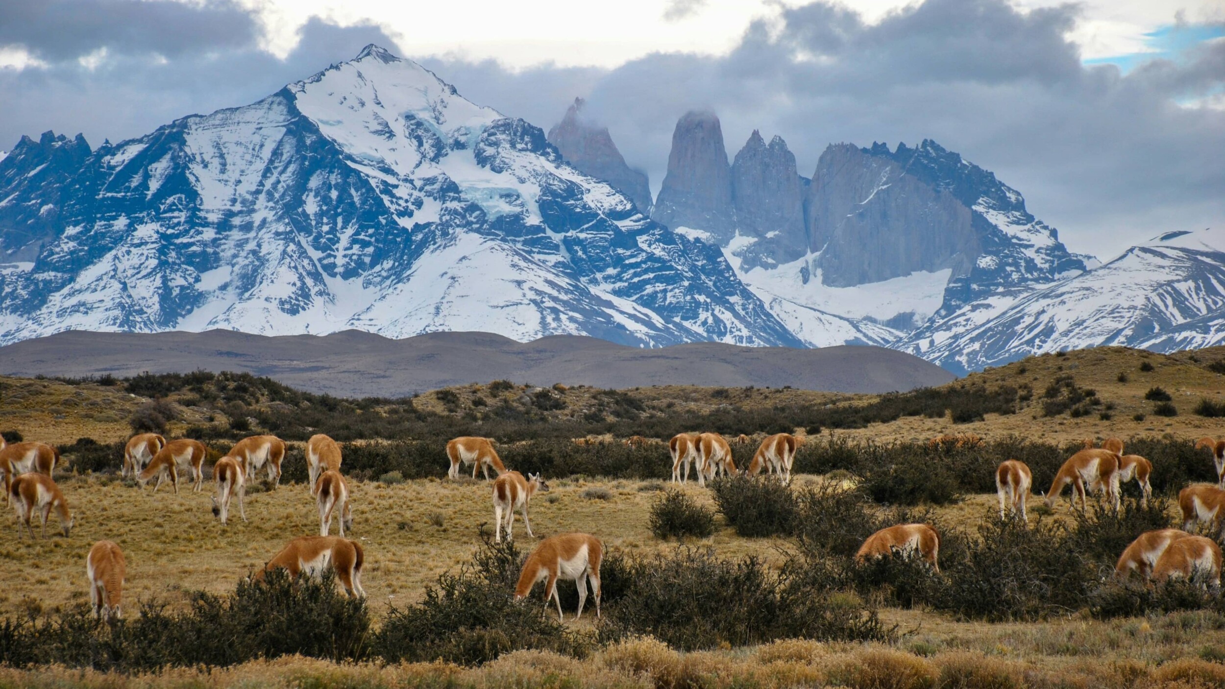 Chile_TorresDePaine_alex-wolowiecki-Zf2mL1gtaVg-unsplash