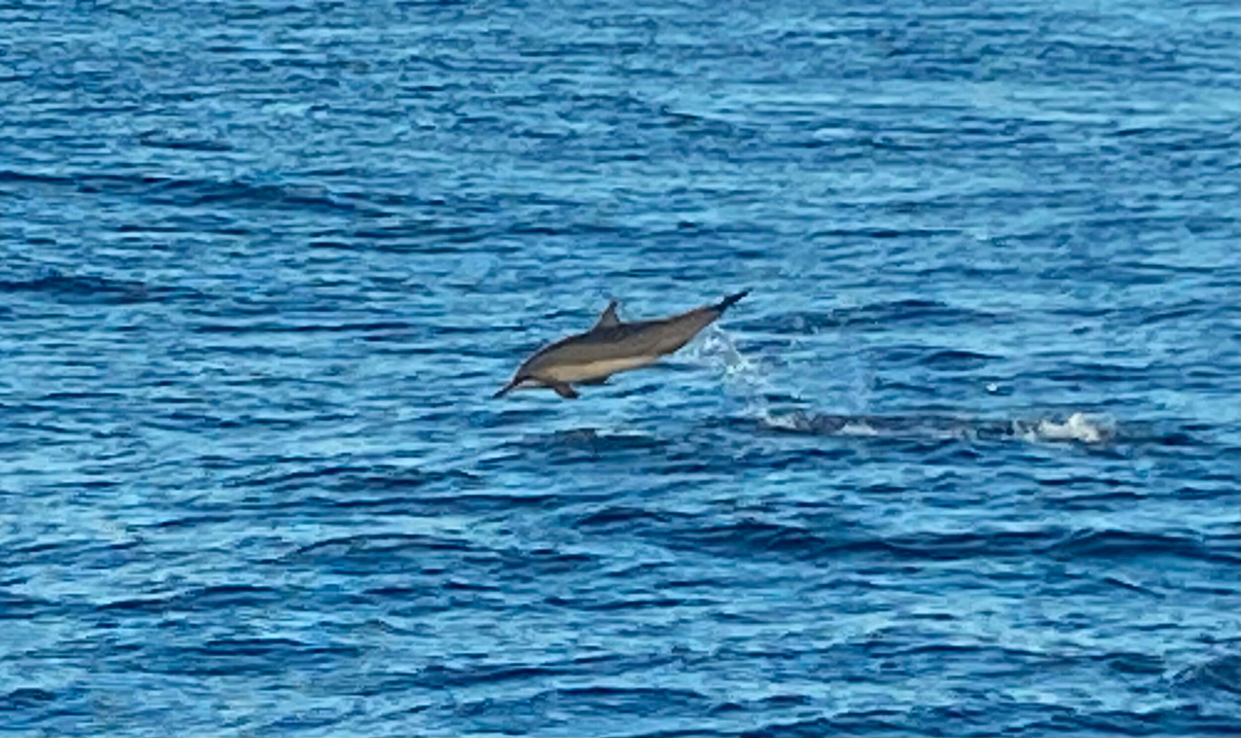 IMG-20260723-WA0029