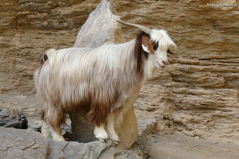 jrxfztgv_rectangle-768x768-0x0-0x0