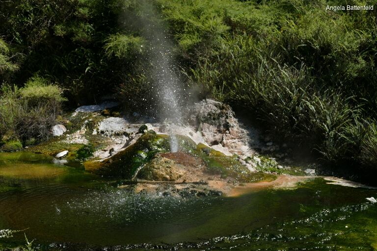 5dorlw0h2_rectangle-768x768-0x0-0x0