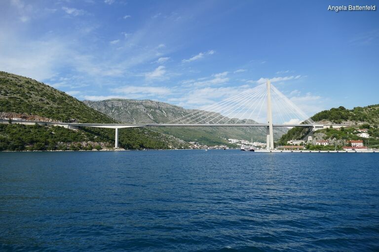 5c56fnspi_rectangle-768x768-0x0-0x0