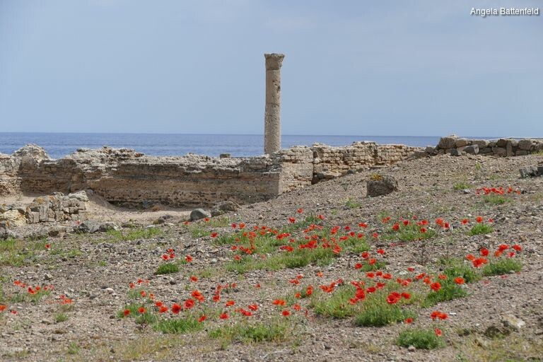 ib29tr4b_rectangle-768x768-0x0-0x0