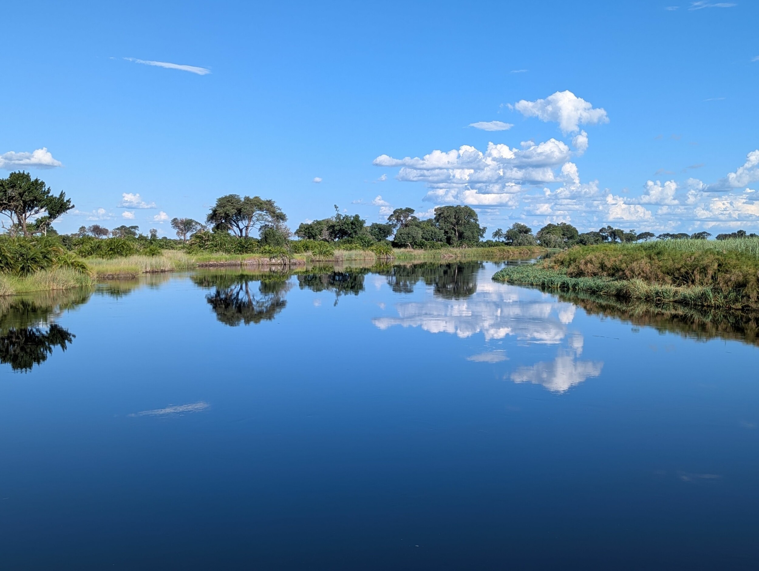 PXL_20250312_145505558