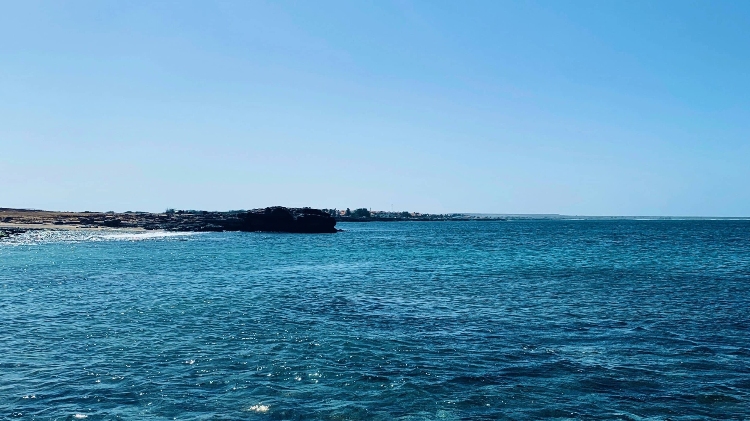 Sal_alexander-akinyeye-j5vZBAPSlnQ-unsplash