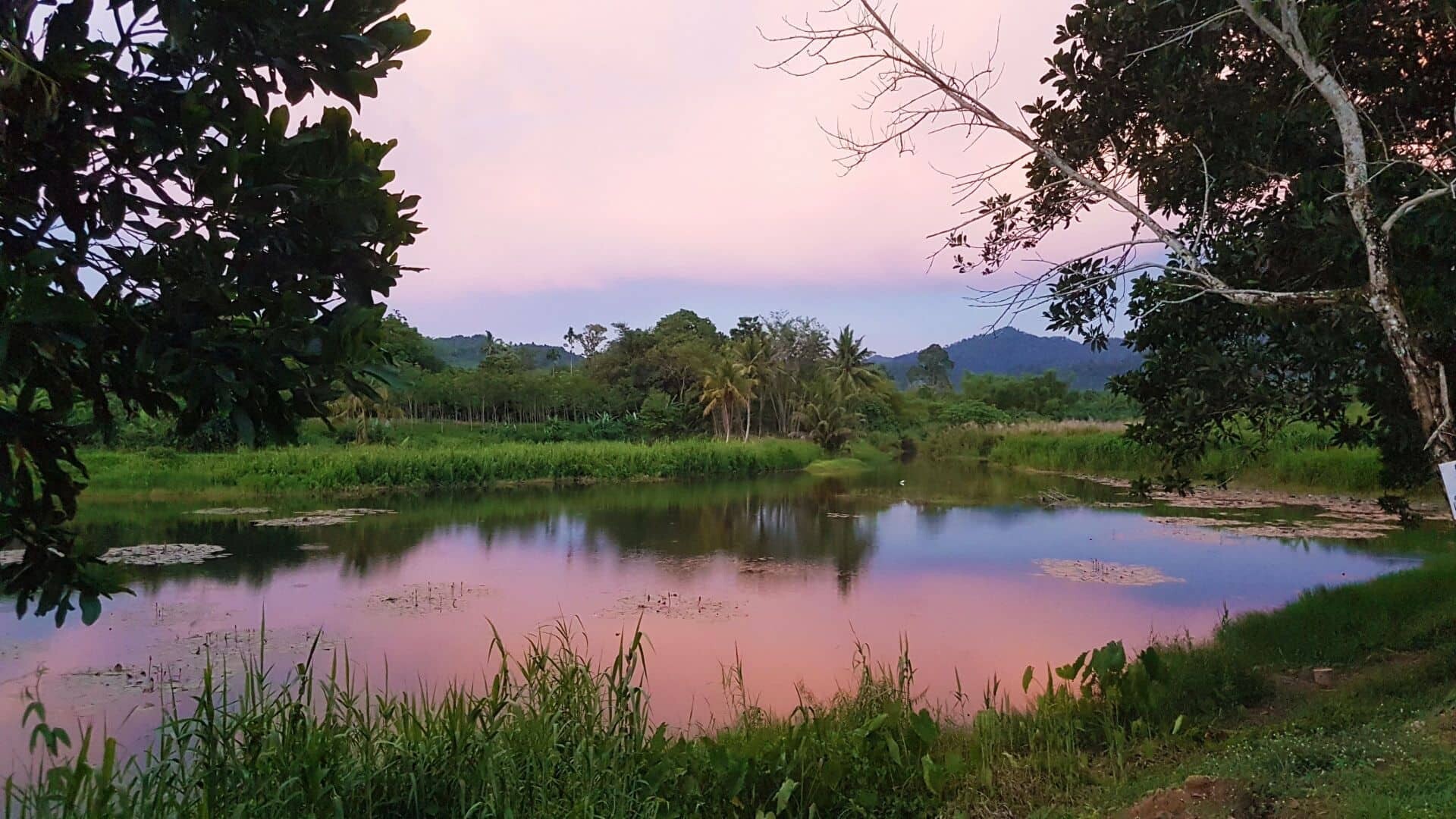 Thailand_Khao_Lak_unsplash_1_1