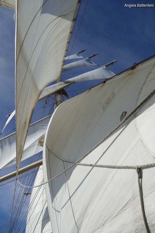 starflyer2015004_rectangle-768x768-0x0-0x0