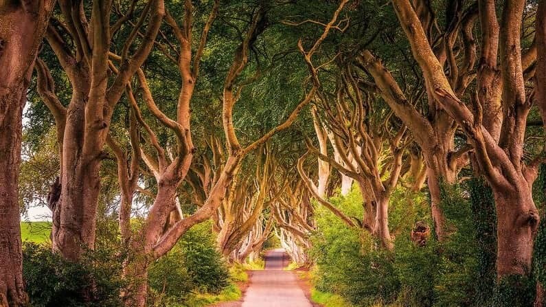 IrlandFilmreif