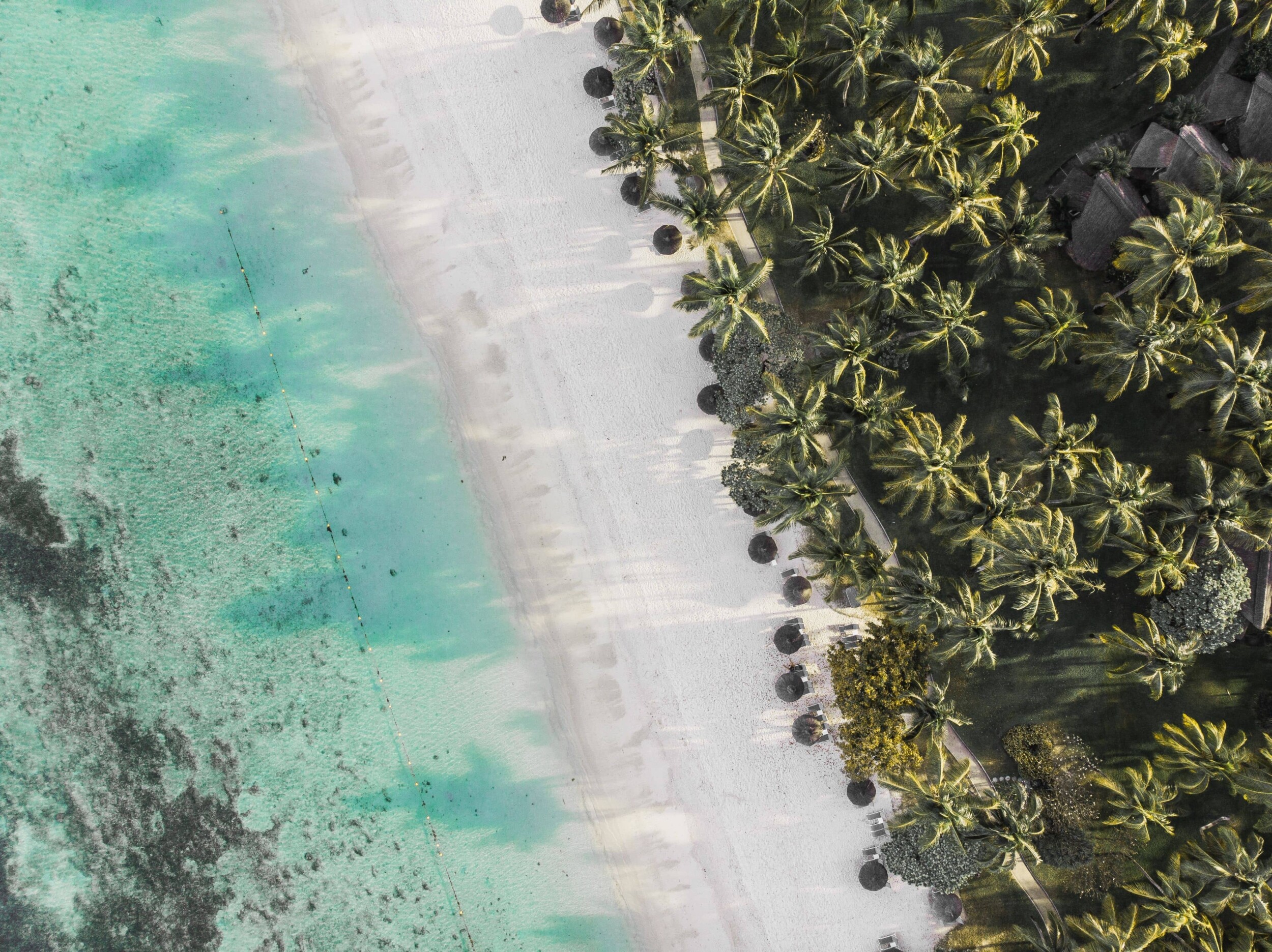 Mauritius_Traumstrand_teodor-kuduschiev-lREL9HIGTRk-unsplash