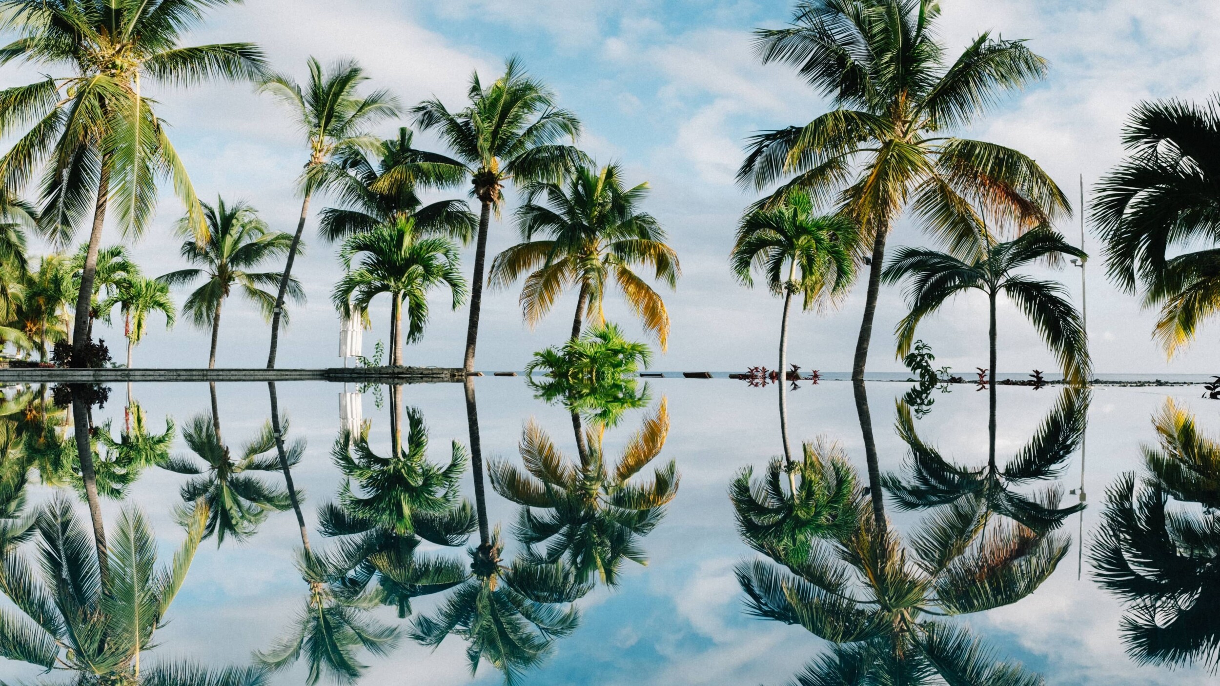 Seychellen_Palmen_dan-freeman-wAn4RfmXtxU-unsplash_2