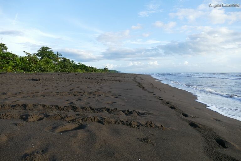 5khb0y8o2_rectangle-768x768-0x0-0x0