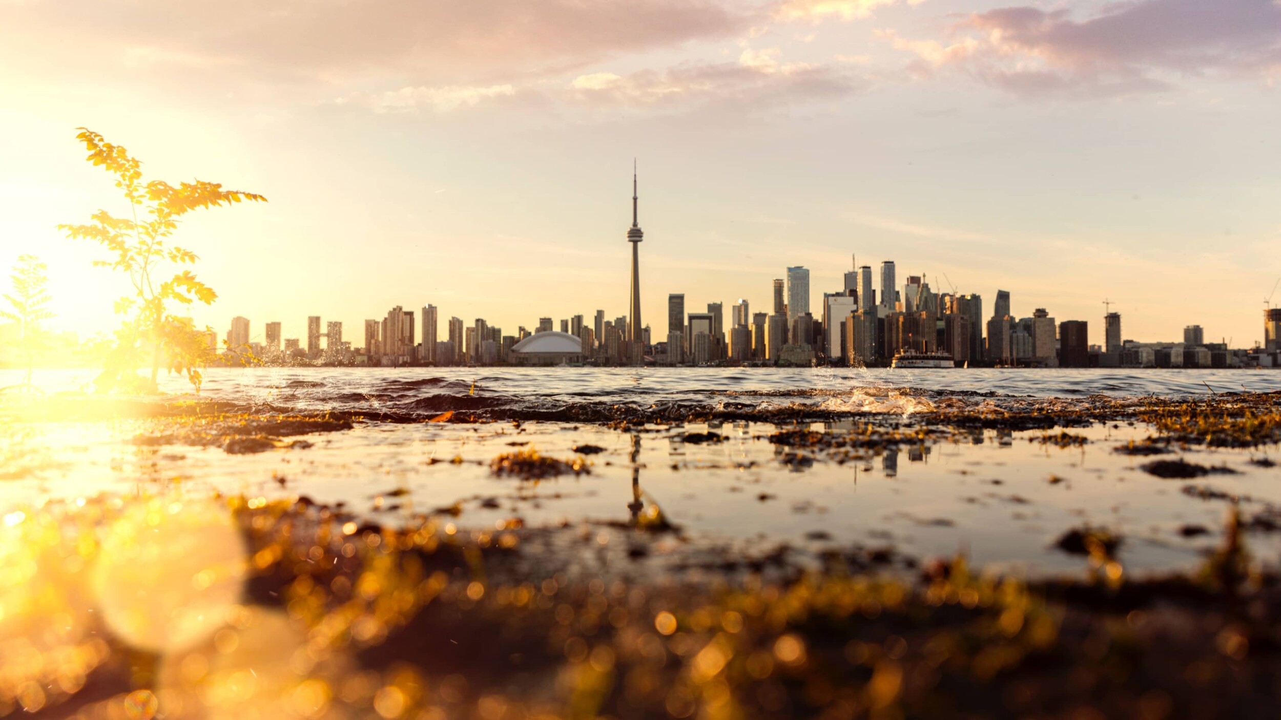 Toronto_TorontoIsland_3