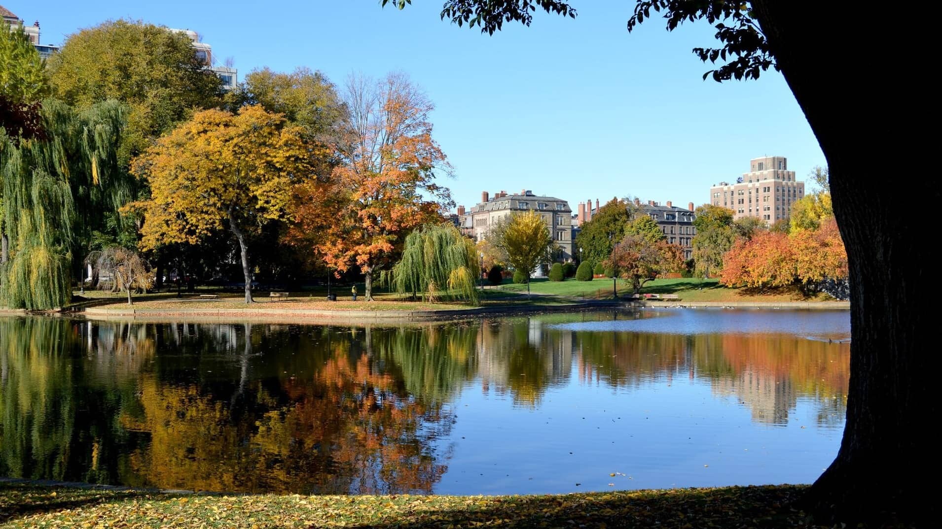 USA_Boston_Common_daniel-bernal-KwpZUdH9gX0-unsplash