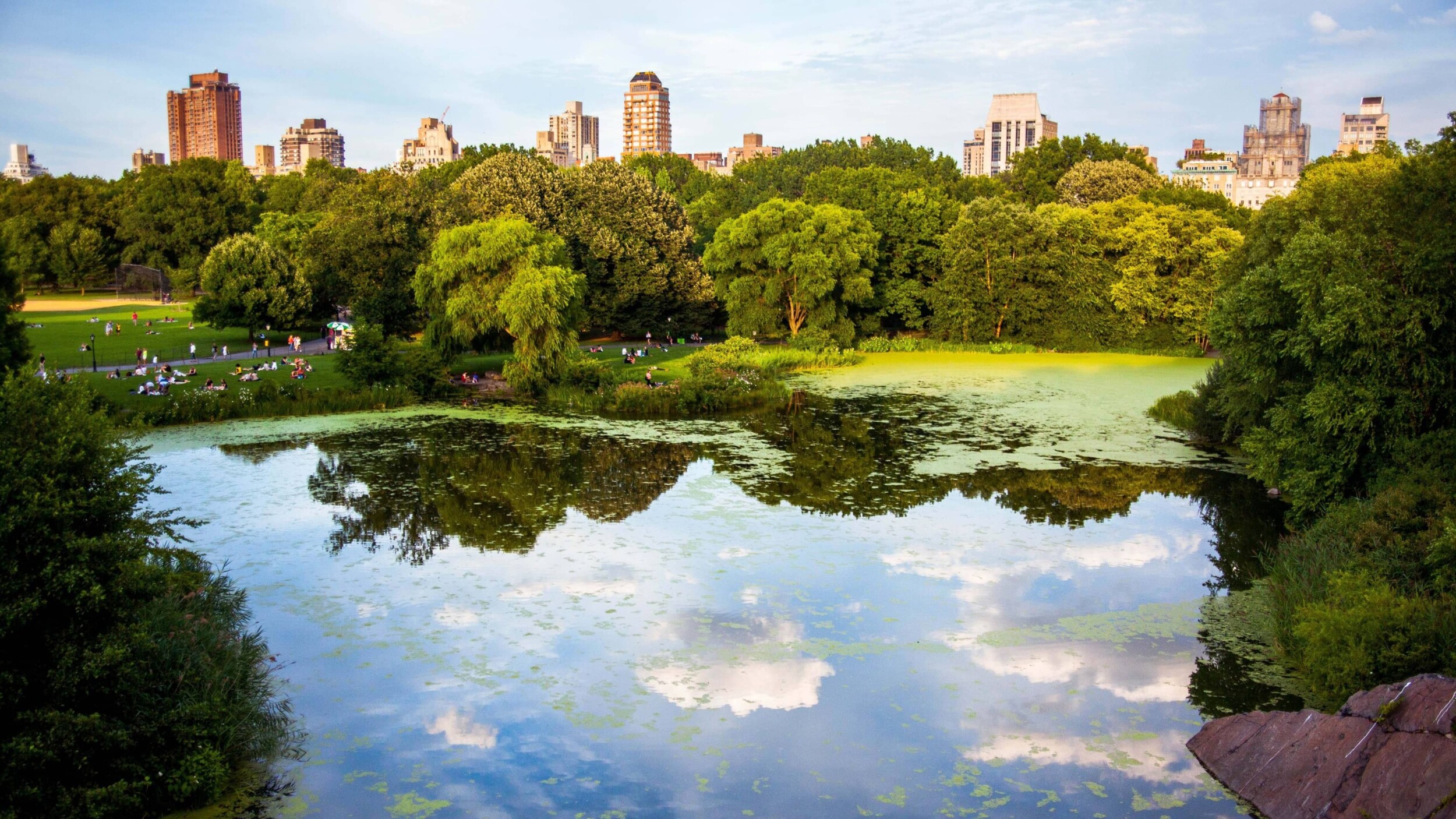 USA_newYork_Central_Park_hector-arguello-canals-2x6vURol6cM-unsplash_2