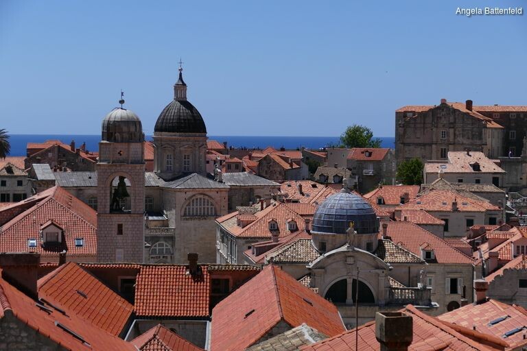 5c56fhop1_rectangle-768x768-0x0-0x0