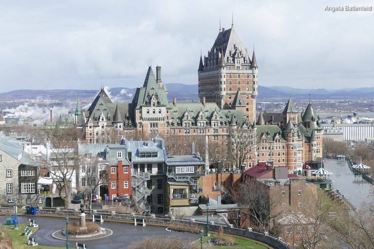 57921toml_rectangle-768x768-0x0-0x0