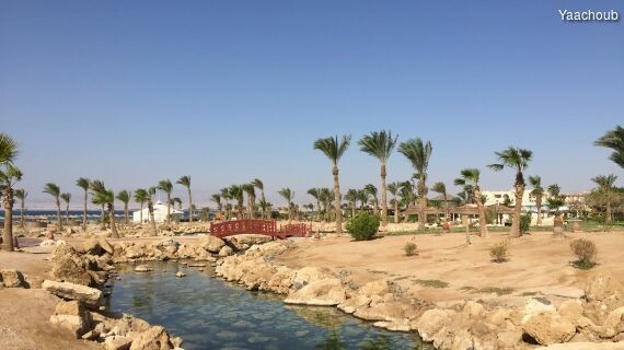 5cspemago_rectangle-570x320-0x228-3264x2060