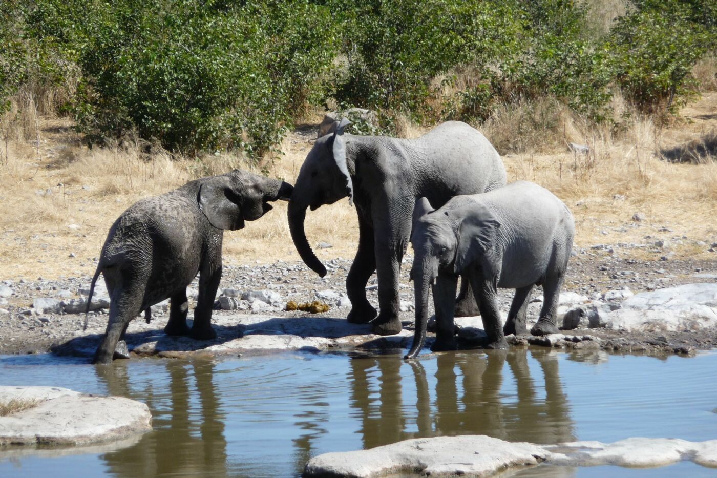 Namibia_15-30_Mai_2010_060