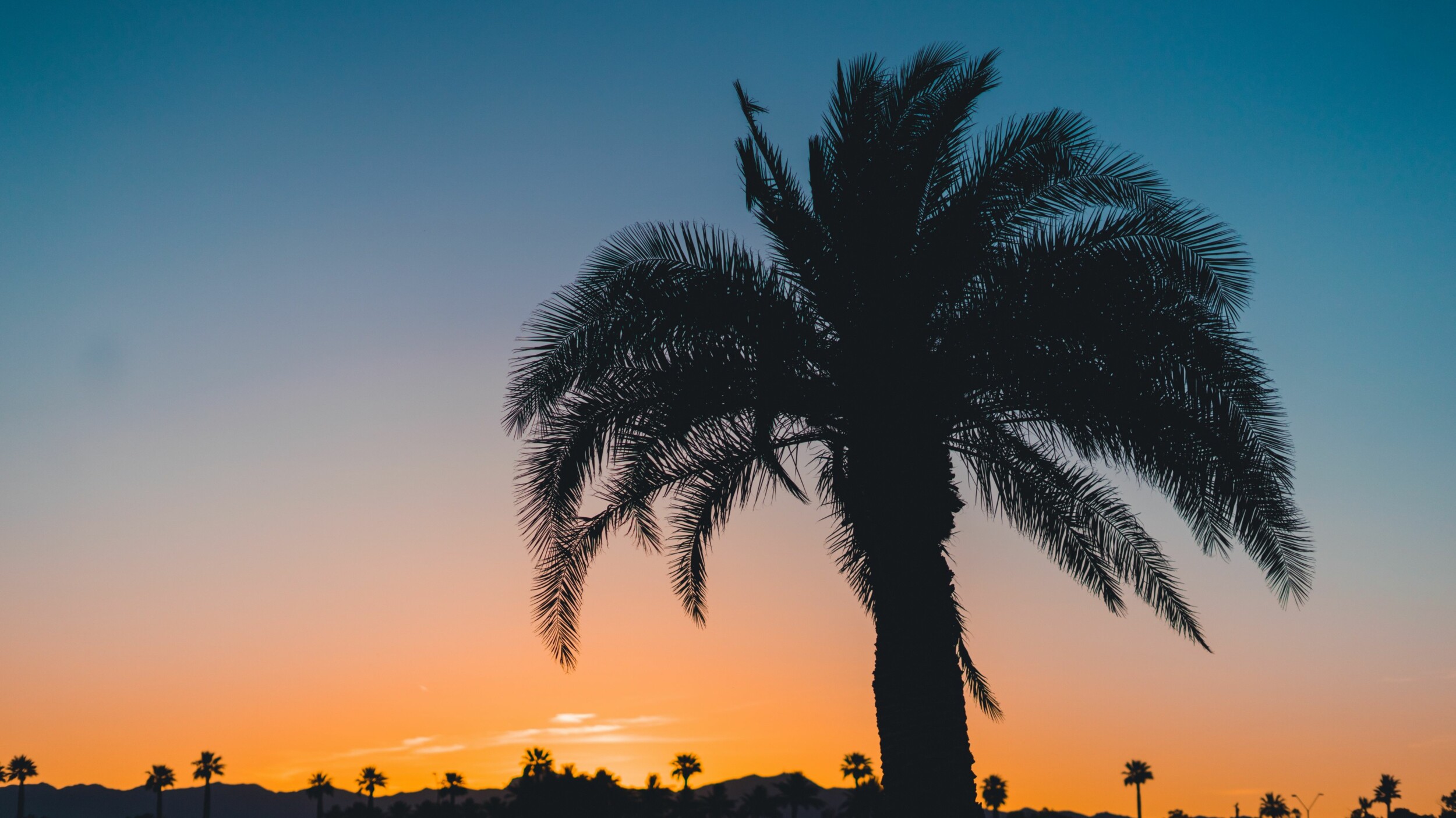Aegypten_El_Gouna_unsplash_1