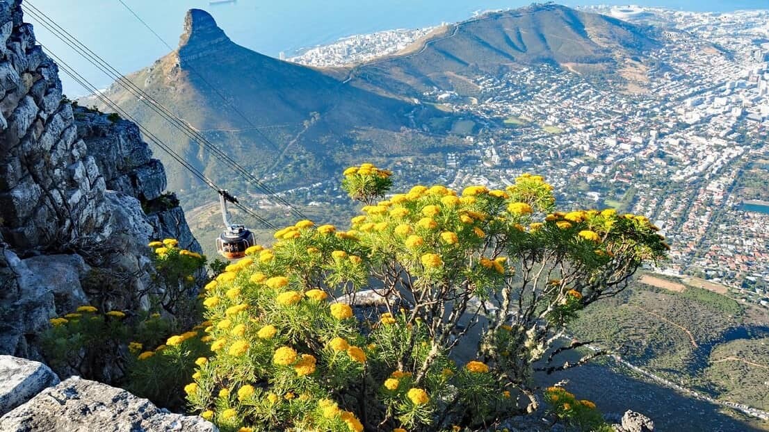 Suedafrika__Kapstadt-Tafelberg_Gondel_72_dpi_privatbild_Frey_1