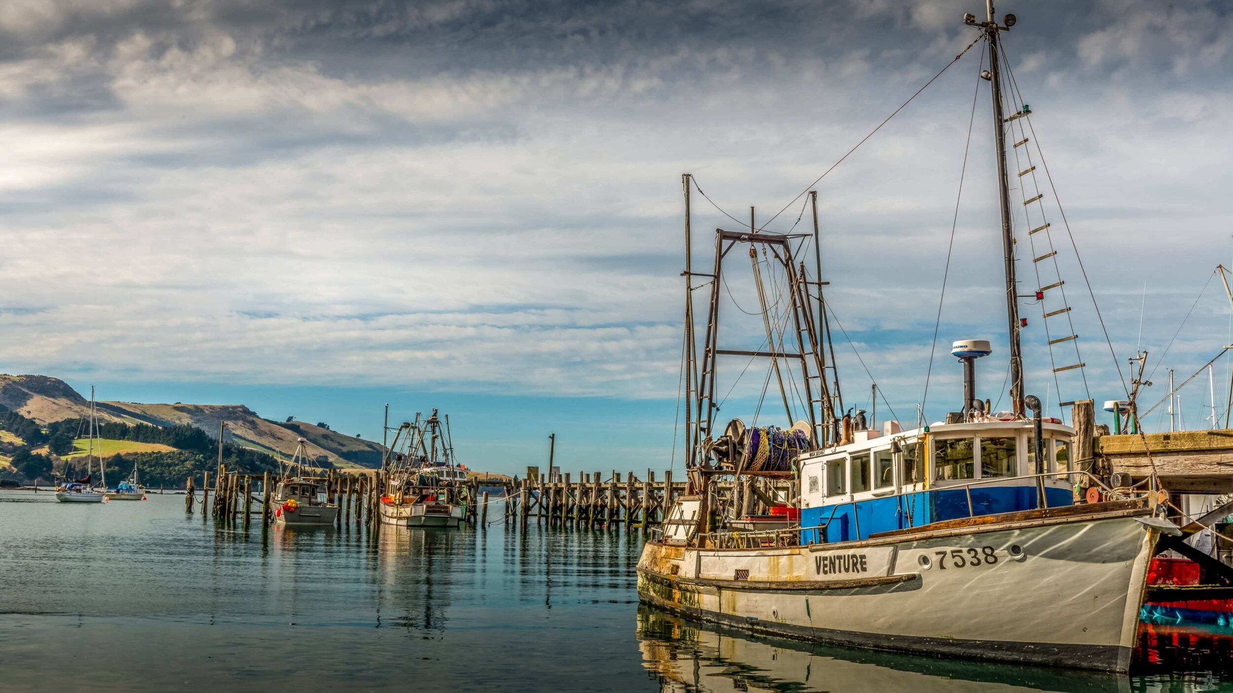 Neuseeland_Dunedin_eddie-bugajewski-Zr7qtrtrNYY-unsplash