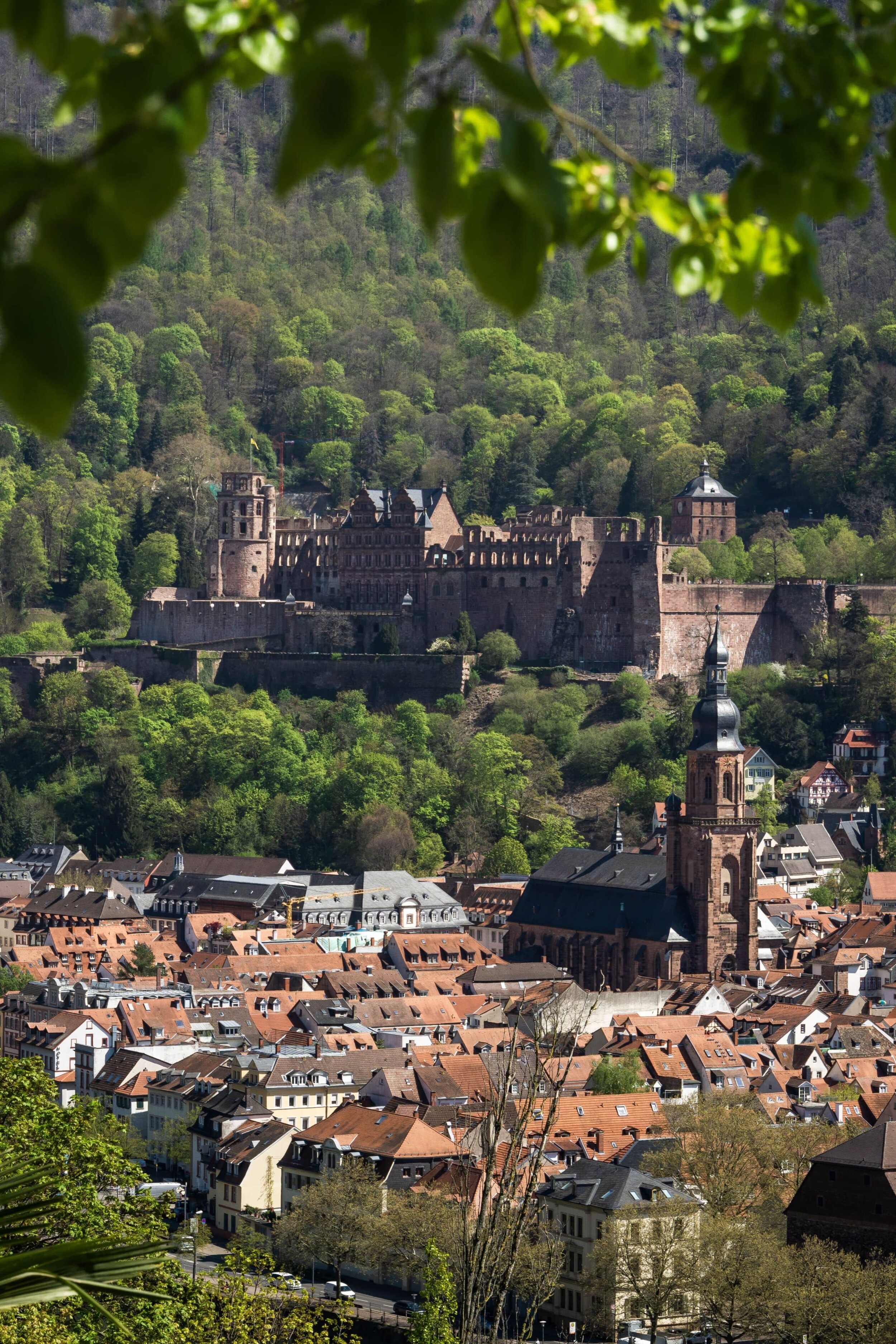 Deutschland_Heidelberg_lisa-fecker-bJbc2ydUWOc-unsplash